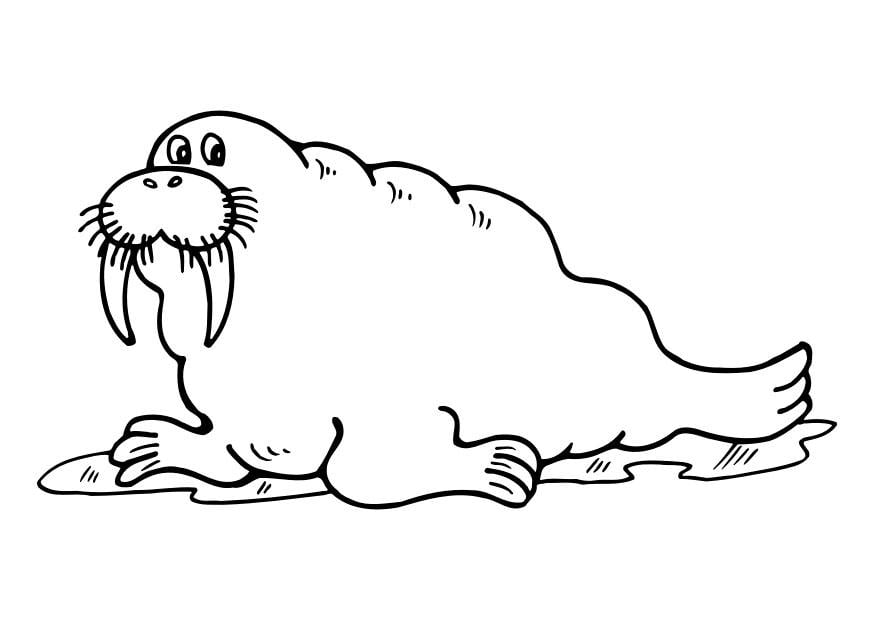 Coloriage morse