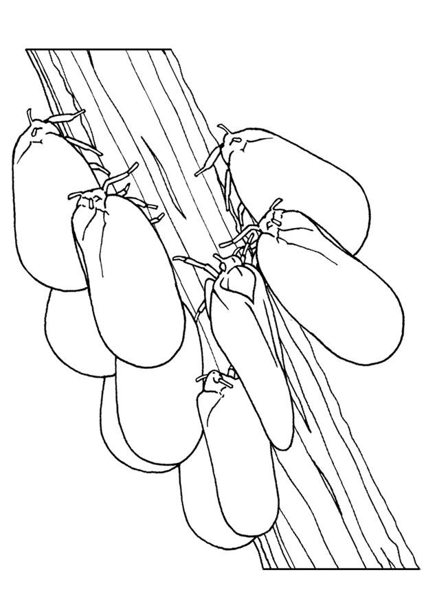 Coloriage mot sur un bout de bois