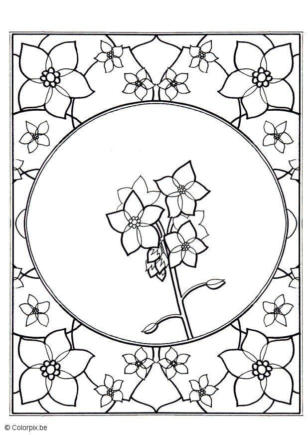 Coloriage myosotis