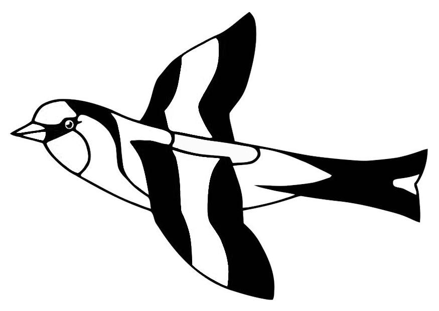 Coloriage oiseau - chardonneret