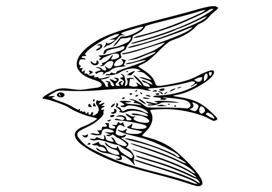 Coloriage oiseau volant