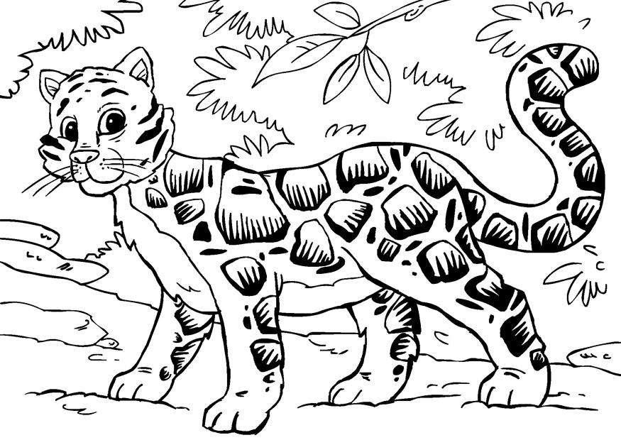 Coloriage panthA¨re nA©buleuse