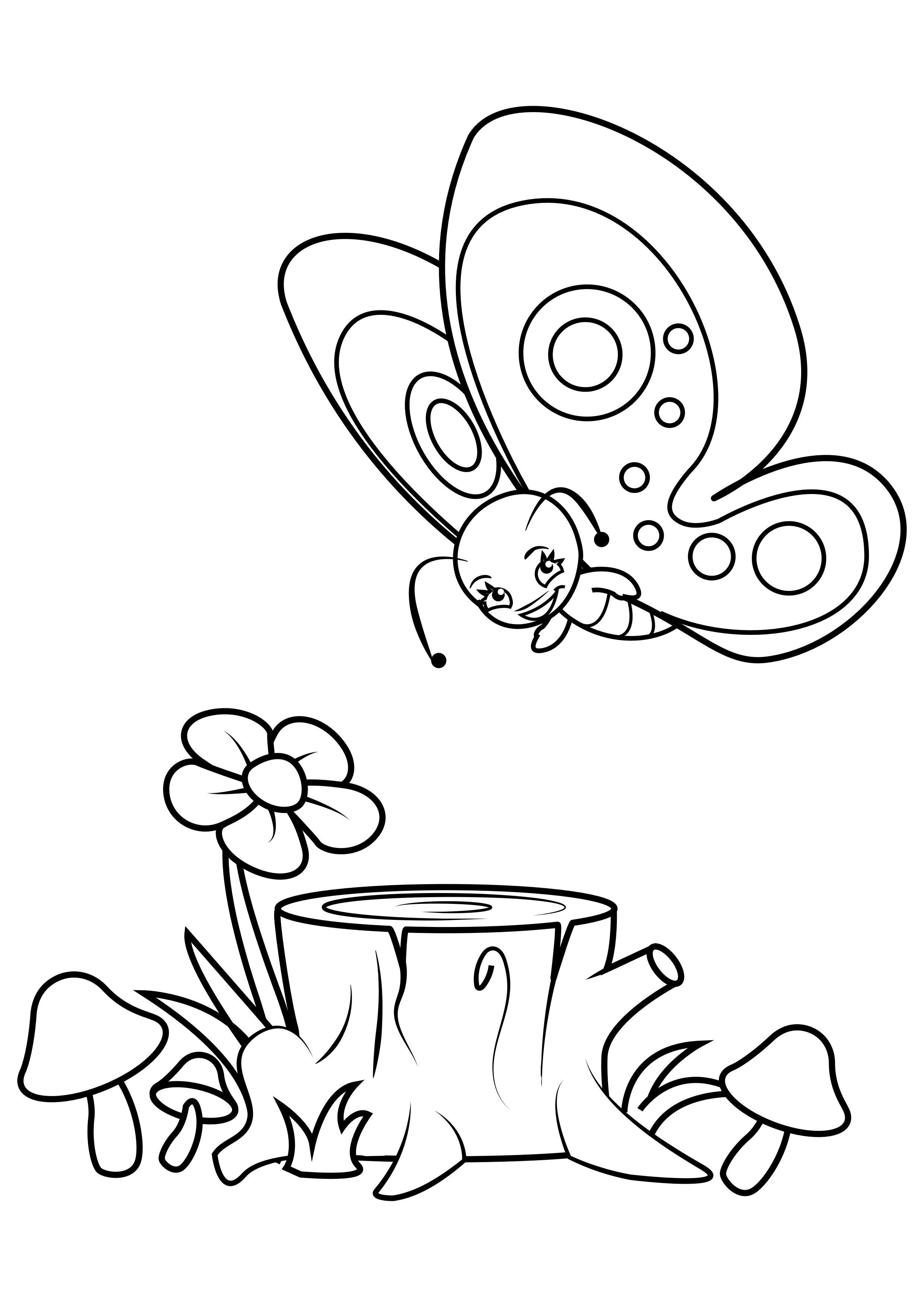 Coloriage papillon dans la forAªt