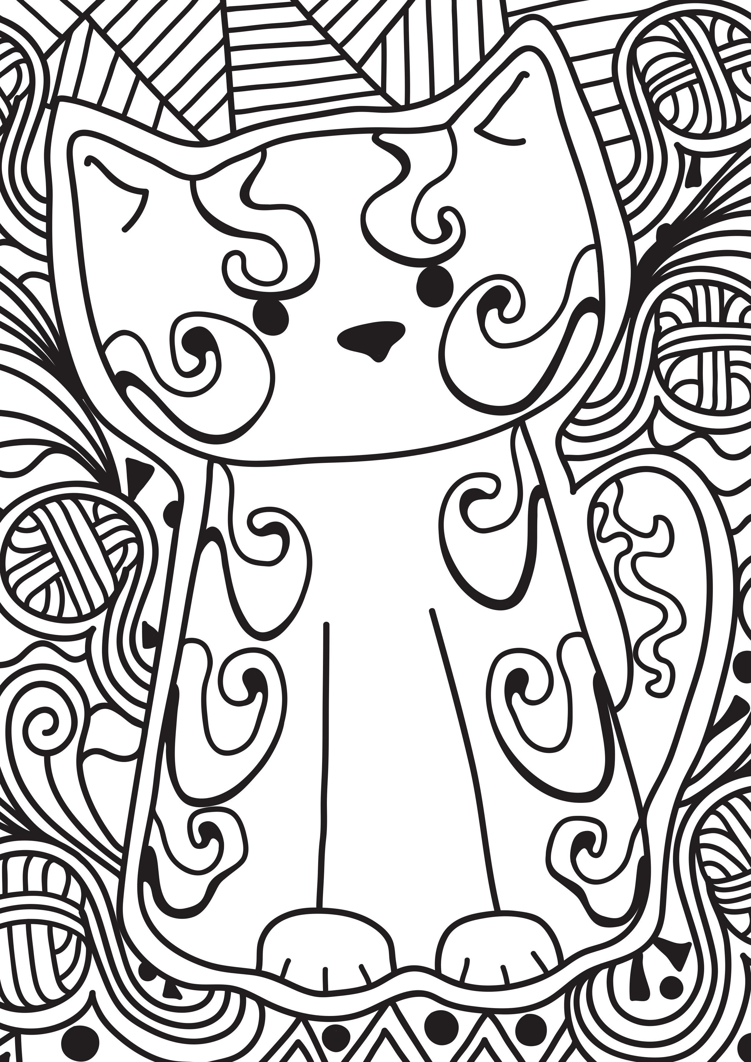 Coloriage petit chat