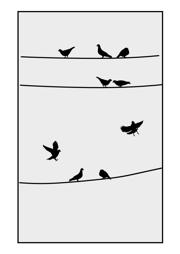 Coloriage pigeons