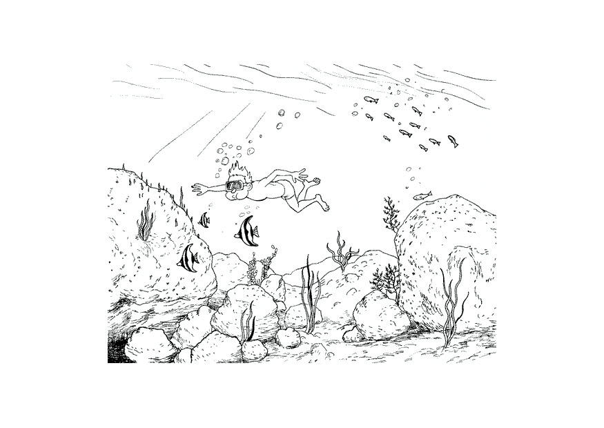 Coloriage plongA© avec les poissons
