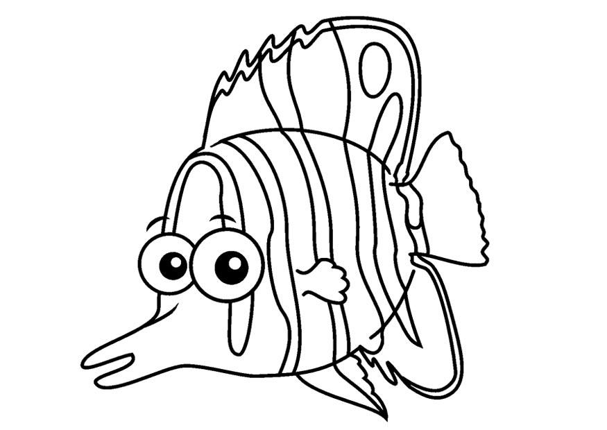 Coloriage poisson-papillon