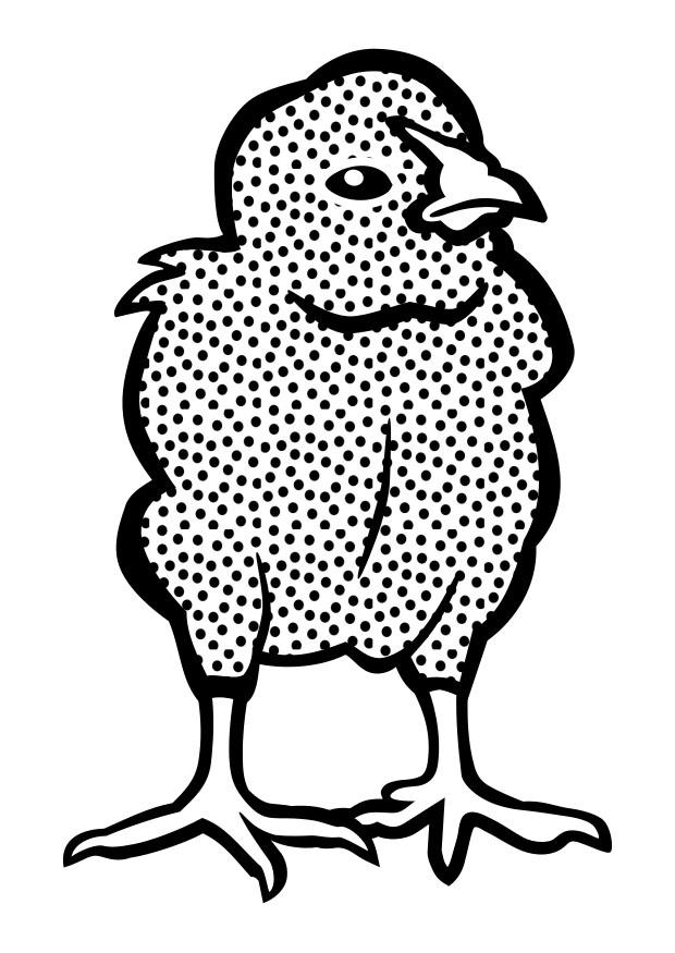 Coloriage poussin