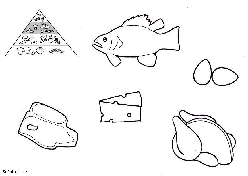 Coloriage produits dorigine animale