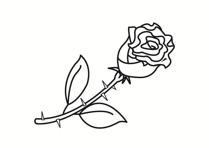 Coloriage rose