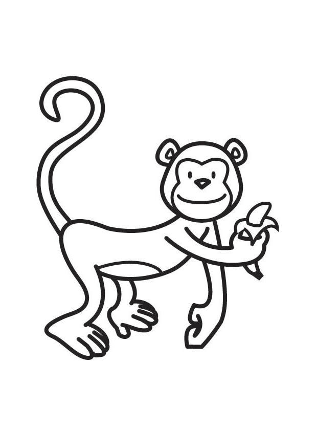 Coloriage singe