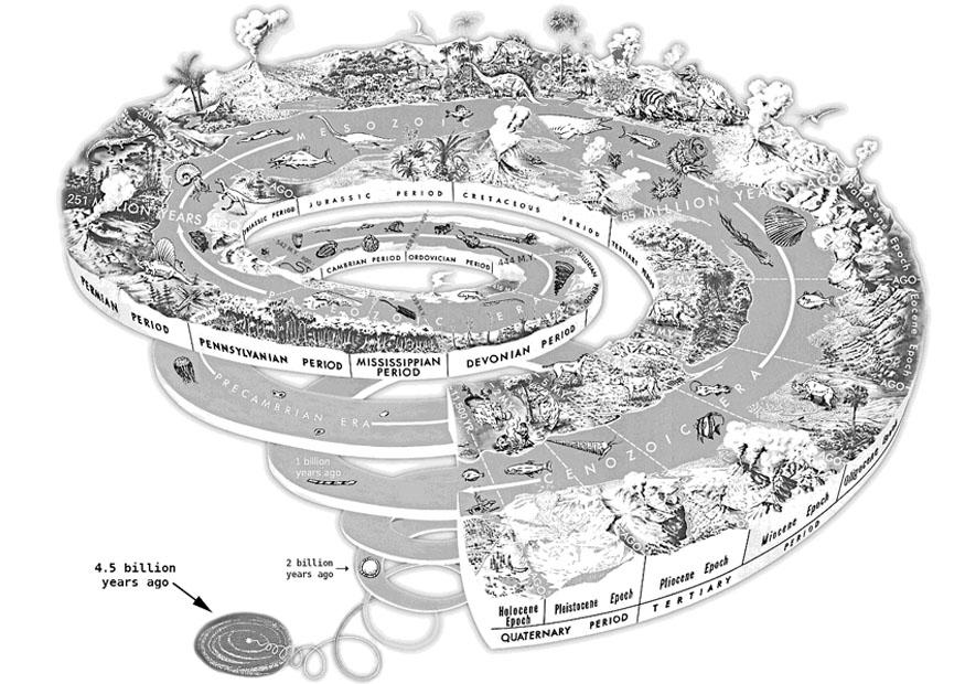 Coloriage spirale gA©ologique