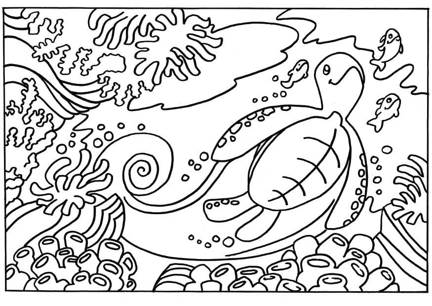 Coloriage tortue