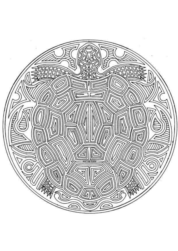 Coloriage tortue
