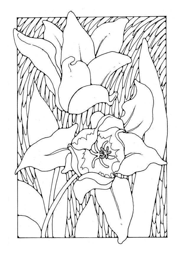 Coloriage tulipes