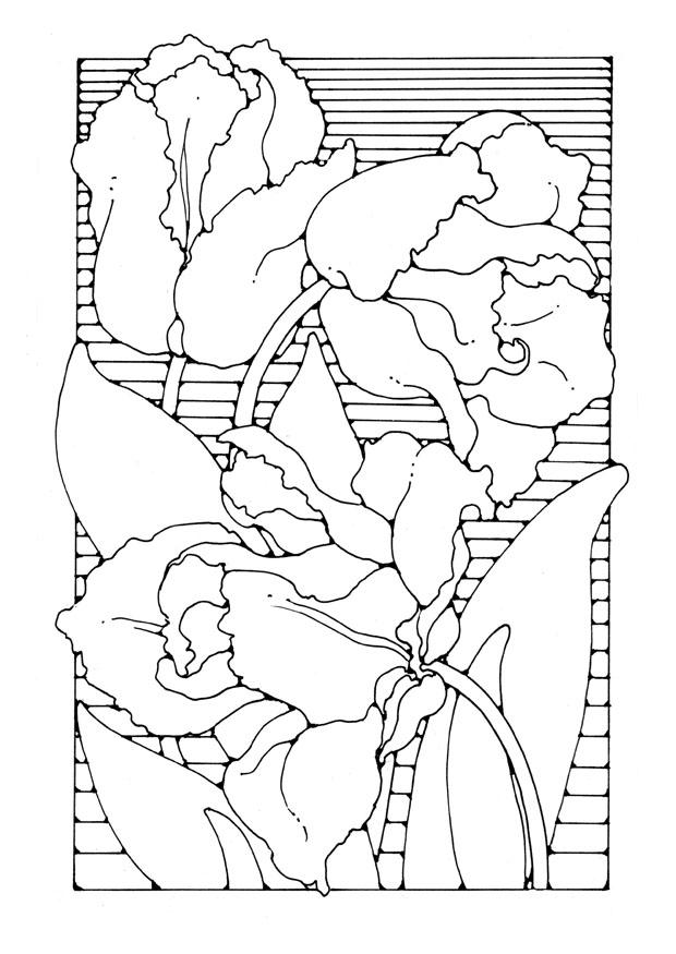 Coloriage tulipes