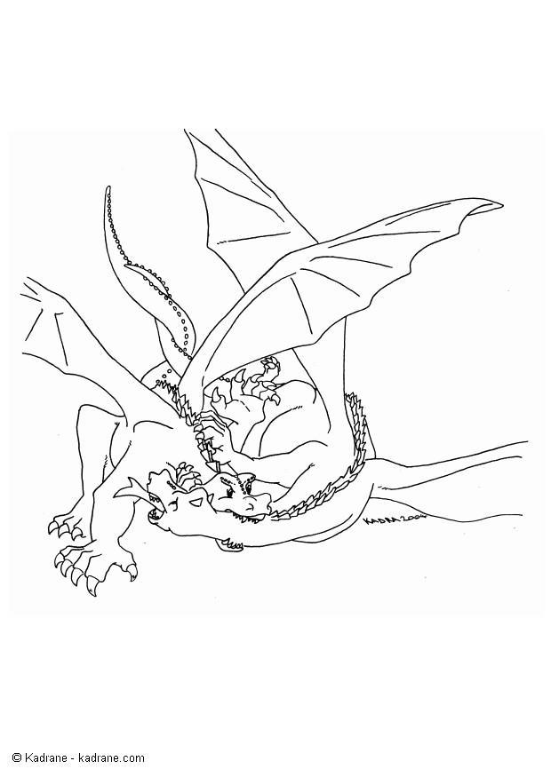 combat de dragons Coloriage combat de dragons