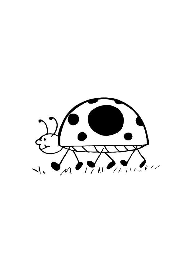 coccinelle Coloriage coccinelle