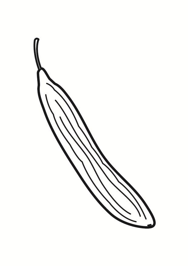 concombre Coloriage concombre