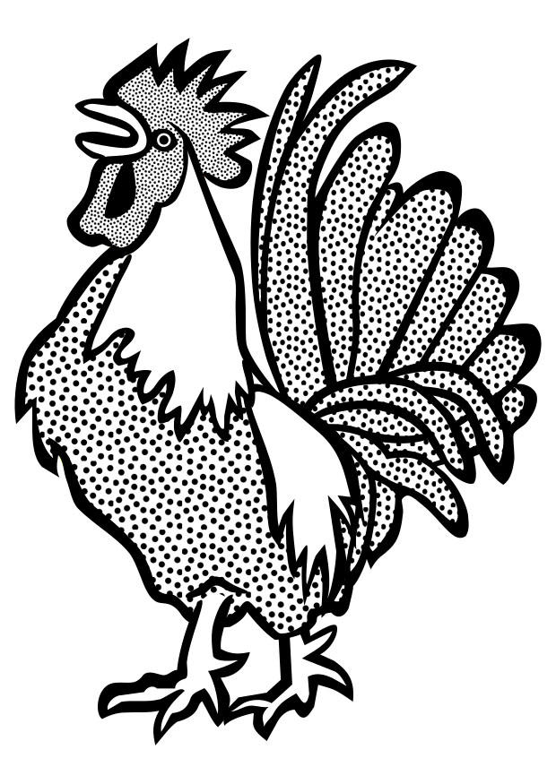 coq Coloriage coq