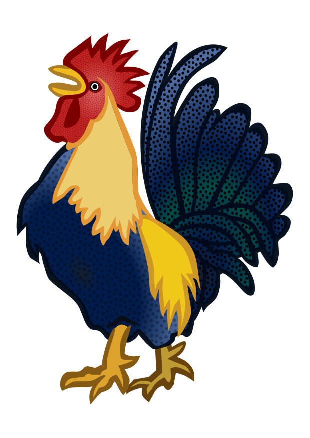 coq Image coq