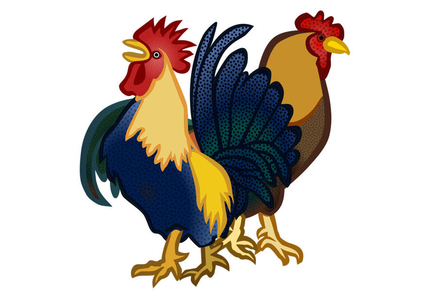 coq et poule Image coq et poule