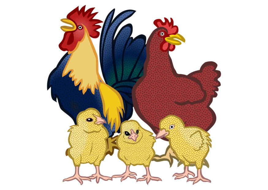 coq, poule et poussins Image coq, poule et poussins