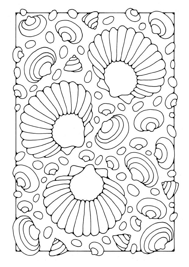 coquillages Coloriage coquillages