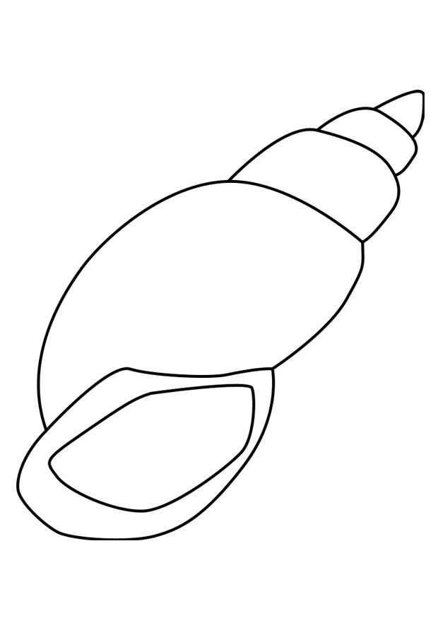 coquille descargot Coloriage coquille descargot