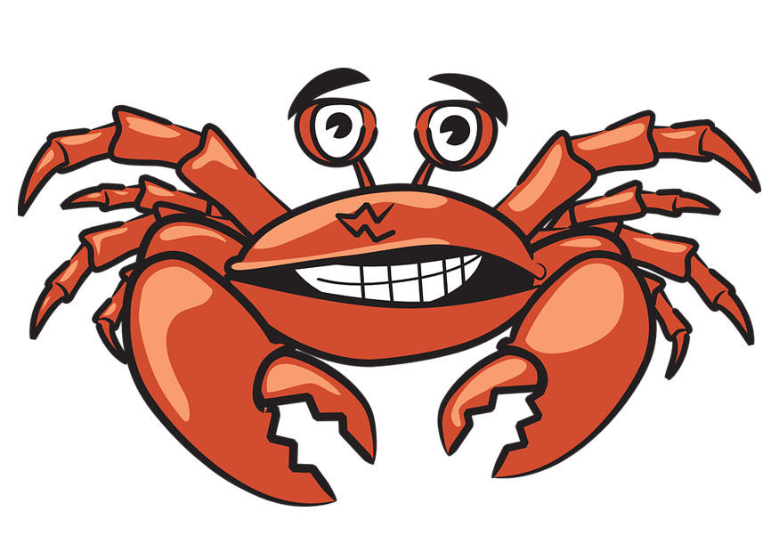 crabe Image crabe