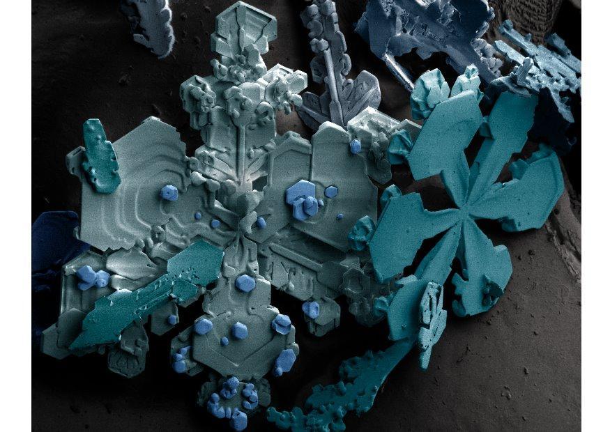 cristaux de neige sous un microscope Photo cristaux de neige sous un microscope