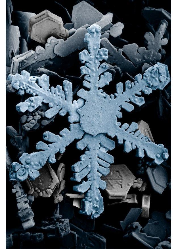 cristaux de neige sous un microscope Photo cristaux de neige sous un microscope