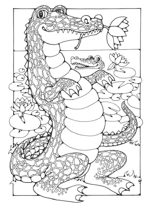 crocodiles Coloriage crocodiles