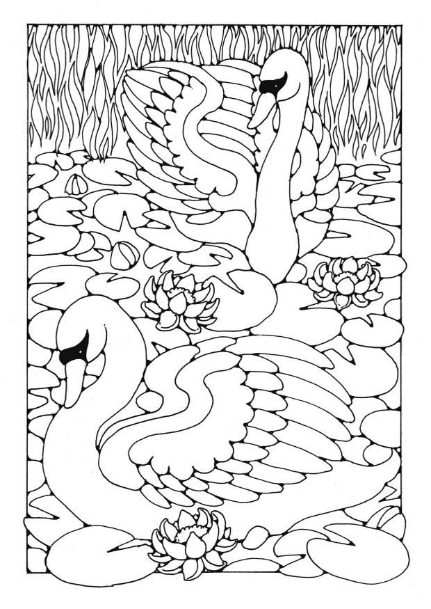 cygnes Coloriage cygnes