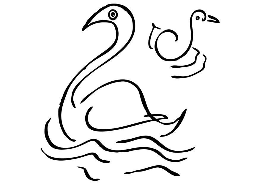 cygnes Coloriage cygnes