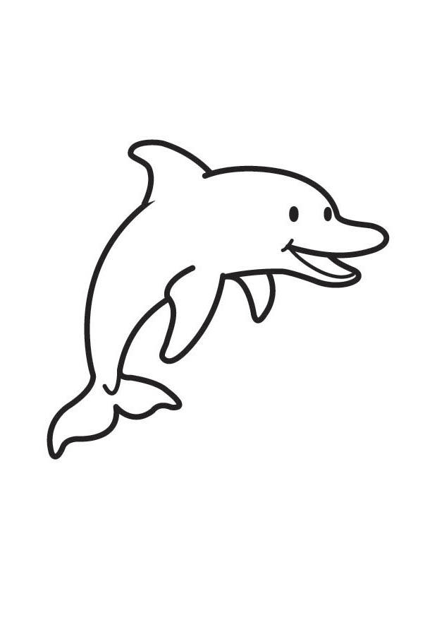 dauphin Coloriage dauphin