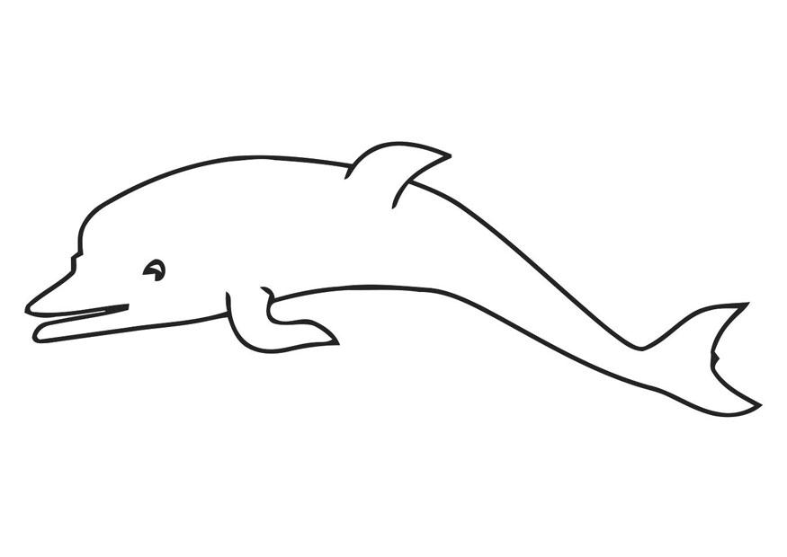 dauphin Coloriage dauphin