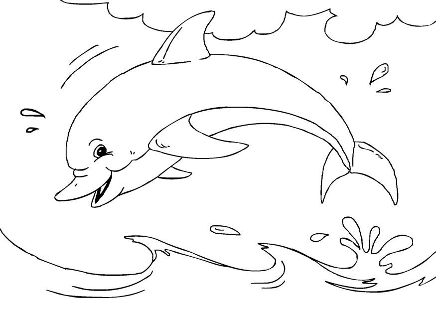 dauphin Coloriage dauphin
