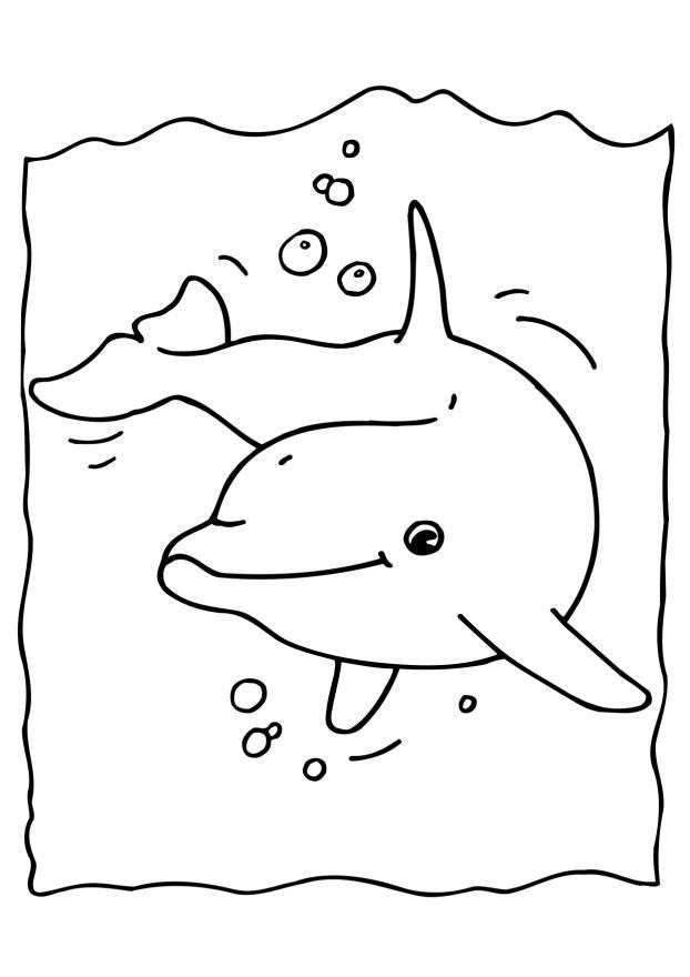dauphin Coloriage dauphin