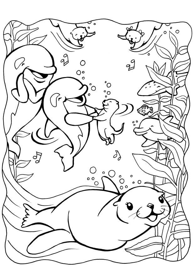 Coloriage dauphins et phoques