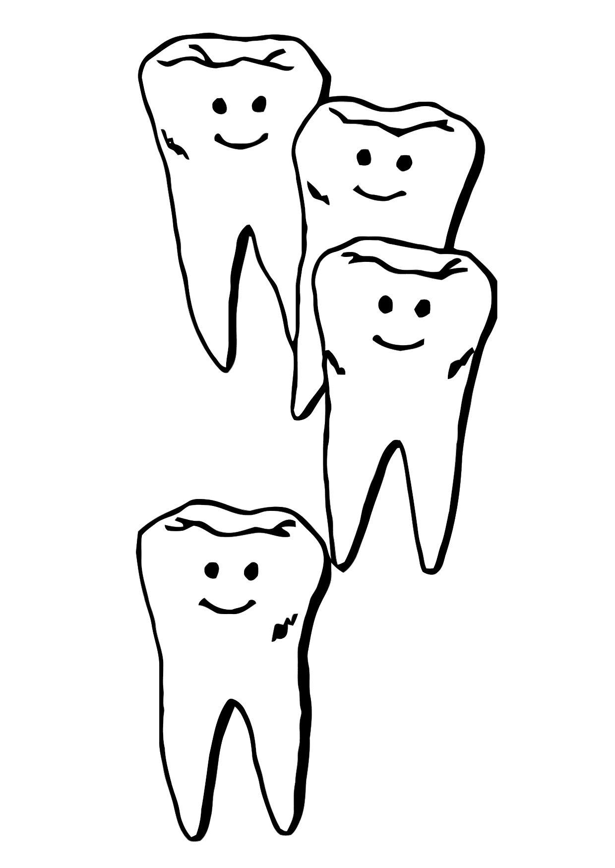 dents Coloriage dents