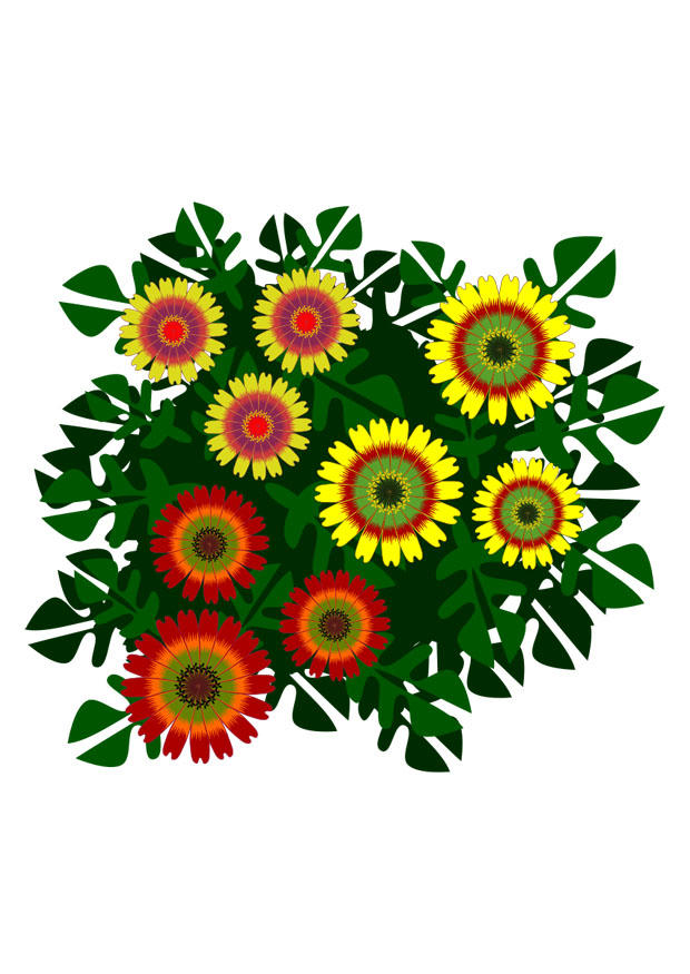 des fleurs Image des fleurs