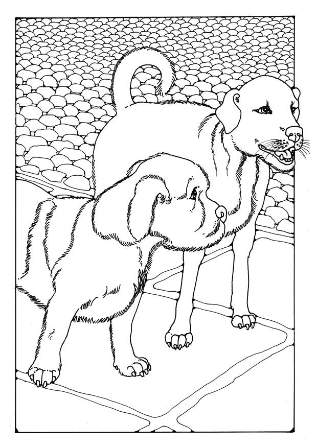 deux chiens Coloriage deux chiens