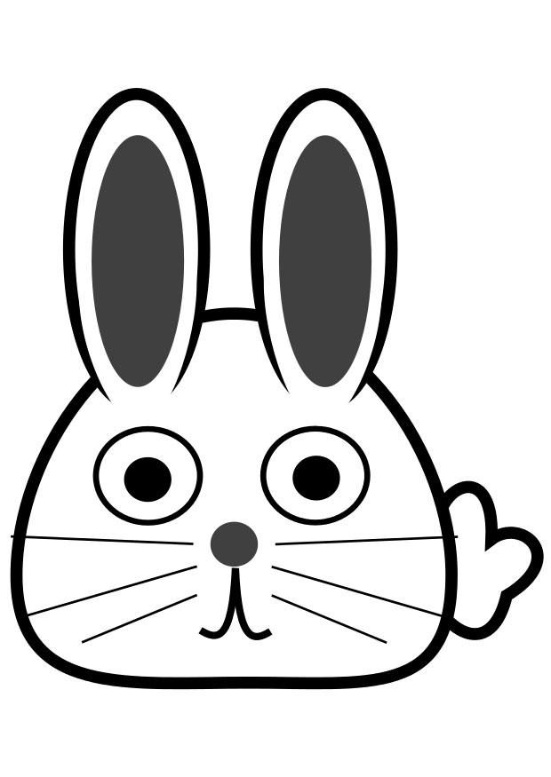 devant du lapin Coloriage devant du lapin