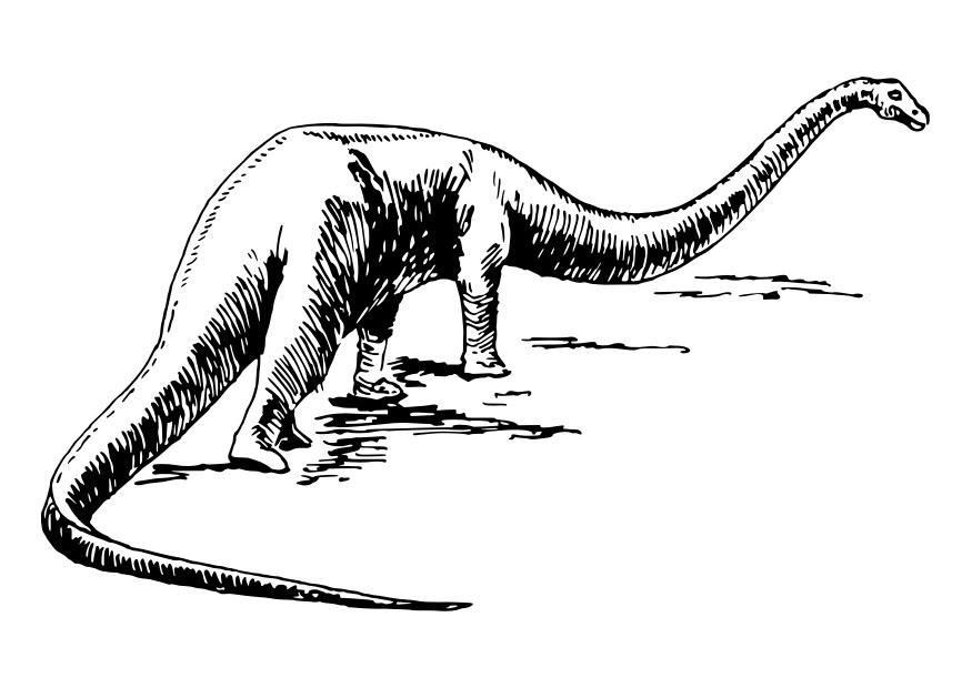 dinosaure Coloriage dinosaure