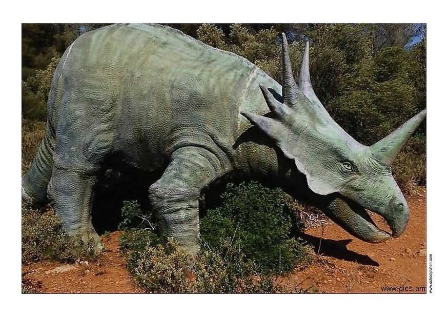dinosaure Photo dinosaure