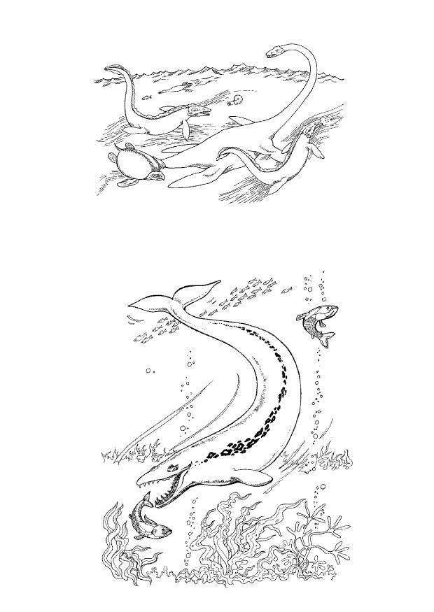 dinosaures marins Coloriage dinosaures marins