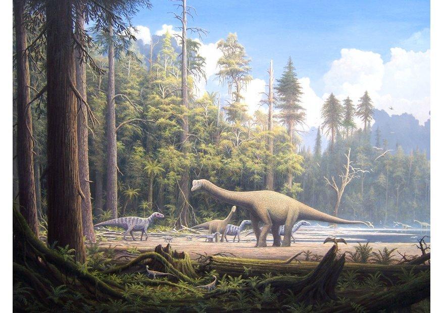 dinosaures Image dinosaures