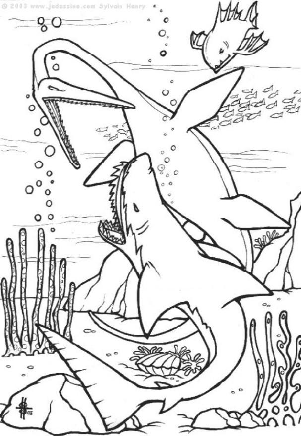dinosaures marins Coloriage dinosaures marins