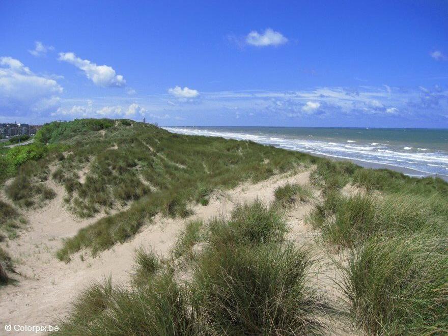 dunes Photo dunes